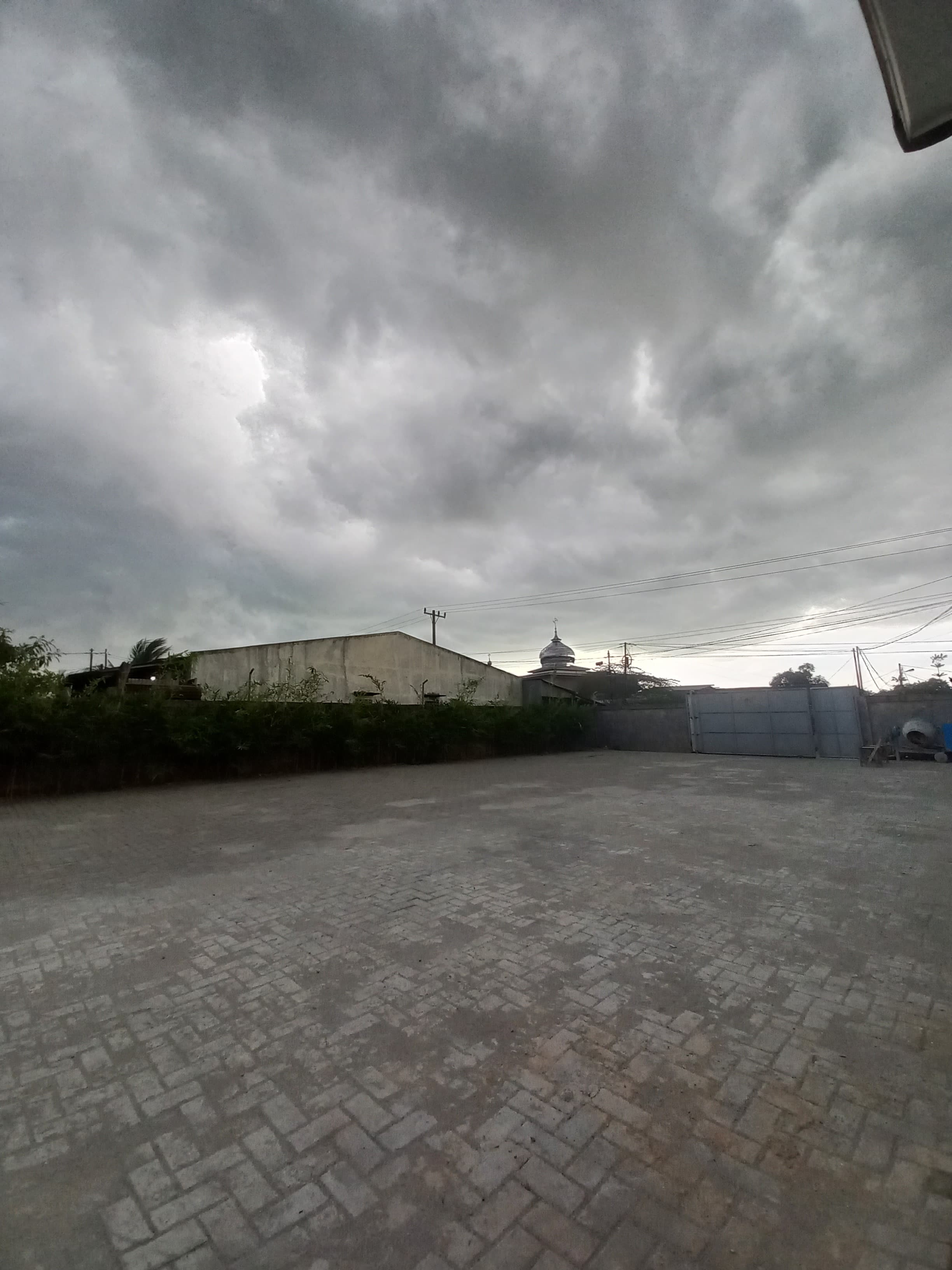 Mini soccer players enjoying a game on a field