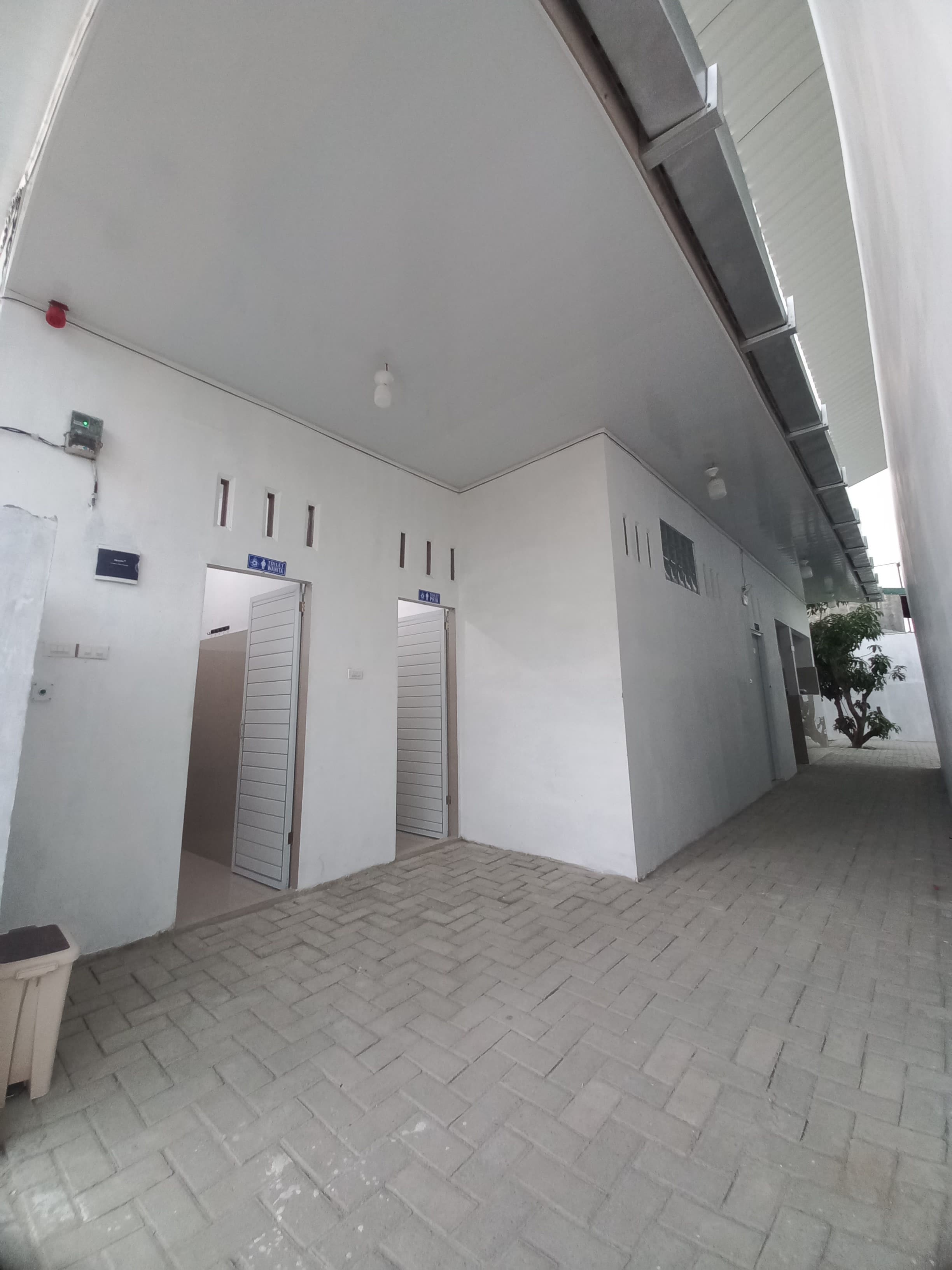 Mini soccer players enjoying a game on a field