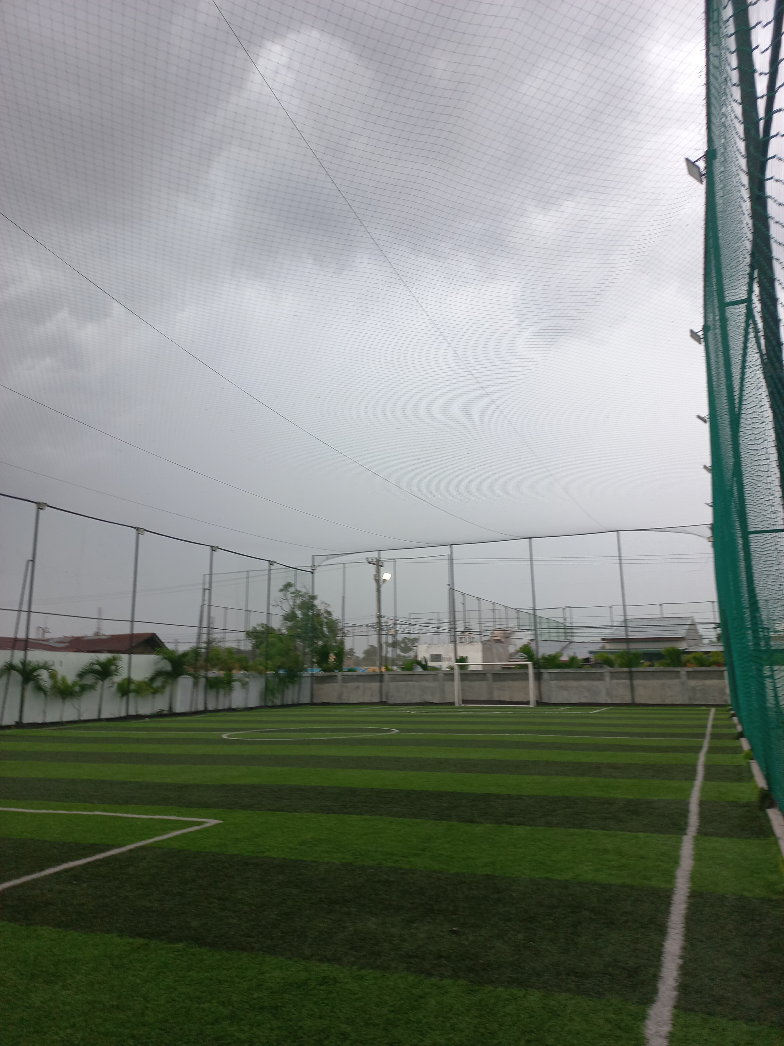 Mini soccer players enjoying a game on a field