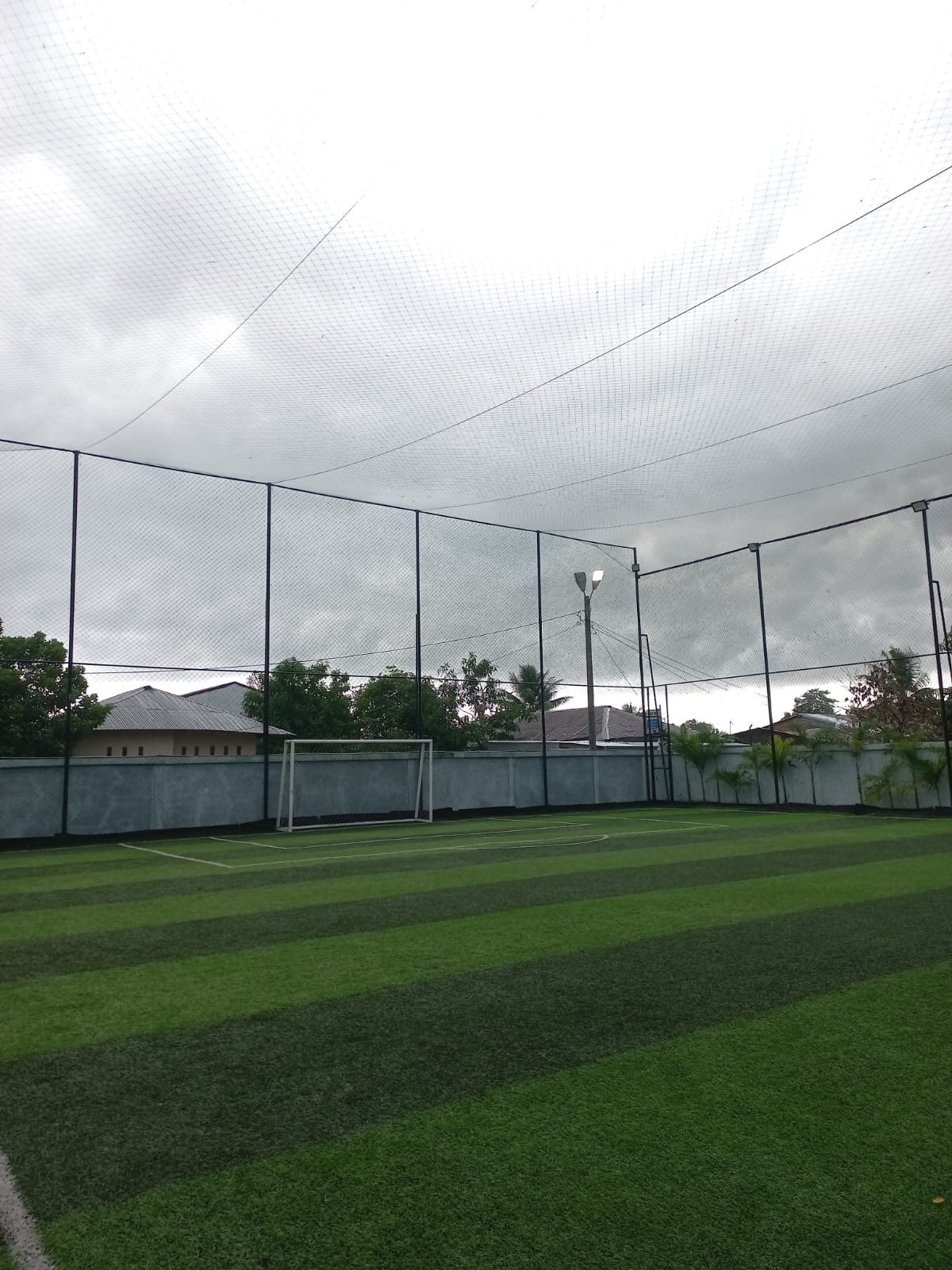 Mini soccer players enjoying a game on a field
